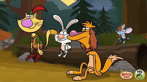 Nature Cat GIFs Get The Best GIF On GIPHY