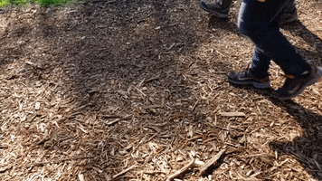 hiking trail fitness GIF by Latino Outdoors