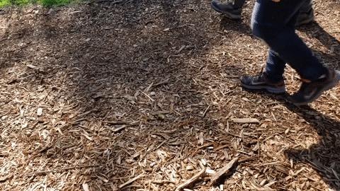 Three people walking a trail at a steady pace, the ten-minute post-meal walk that shows up on the curve within the hour