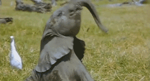 Happy Cheer Up GIF - Find & Share on GIPHY