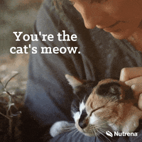 Cat Lady Love Cats GIF by Nutrena Feed
