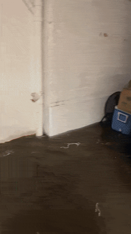 Animated GIF - Find & Share on GIPHY