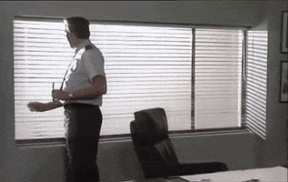 Independence Day Comedy GIF