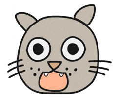 Shocked Cat GIF by Thank You Coffee