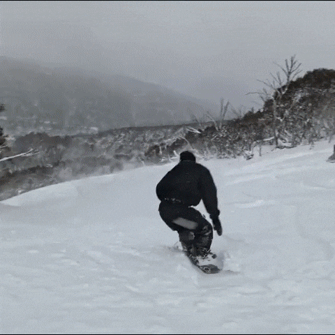 GIF by Thredbo