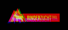 Rinderzucht Tirol GIF