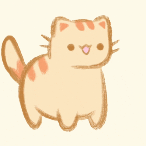 Cat GIF