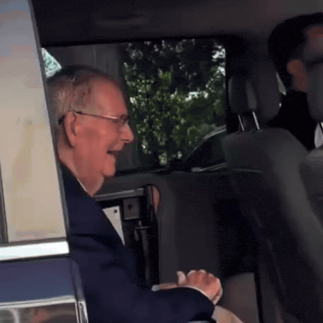 Mitch Mcconnell Smile GIF by Brook Dorff
