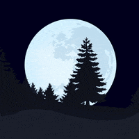 Flying Full Moon GIF by Swapfiets