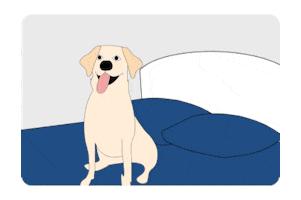 Work From Home Dog Sticker by Excited Agency | Digital Product Design Agency