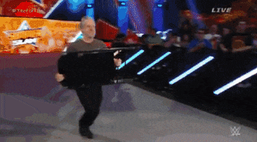 Jon Stewart Wrestling GIF by WWE