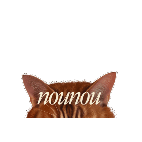 nounoulondon Sticker