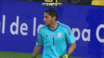 200.gif?cid=fc005b08b9db4c6dbef426ff2aebf2fce1f771600d43bb3d&rid=200.gif&ct=g