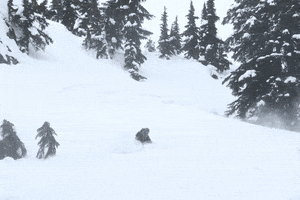 ski powder GIF by TheMacnabs