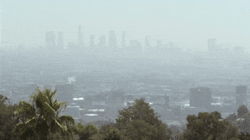 los angeles la GIF by The Orchard Films