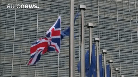 uk flag eu GIF by euronews