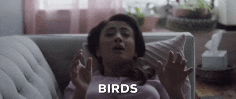 200.gif?cid=fc005b086951f11b2daba9c7e556509089056476e58bade2&rid=200.gif&ct=g