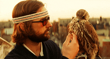 Wes Anderson Film GIF by The Good Films