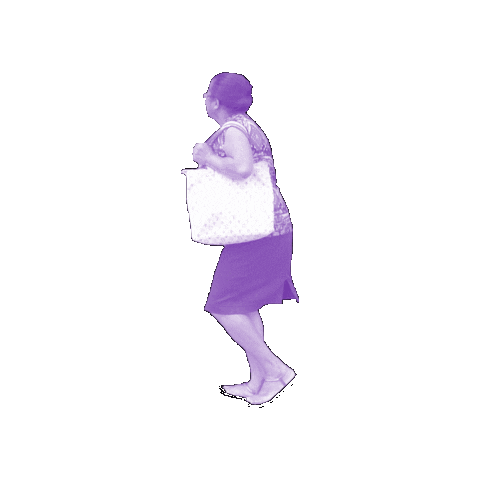 Instituto Caminhabilidade Sticker