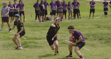Quidditch GIF