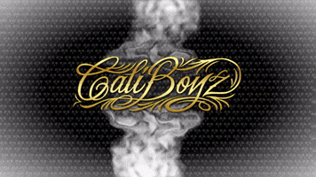 The Caliboyz GIF