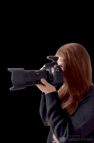 Ehbphotos GIF