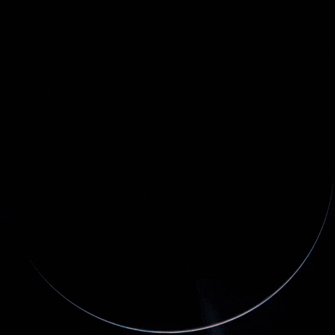 Life GIF