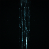 glitch glow GIF by Erica Anderson