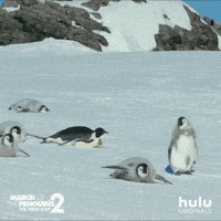 march of the penguins fall GIF by HULU