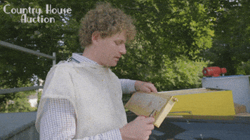 Big Mountain Productions GIF