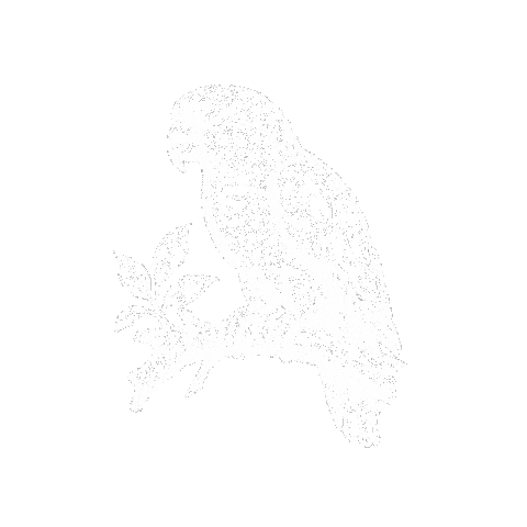 Cotorra Tamoaqui Sticker by Masiel Mateo