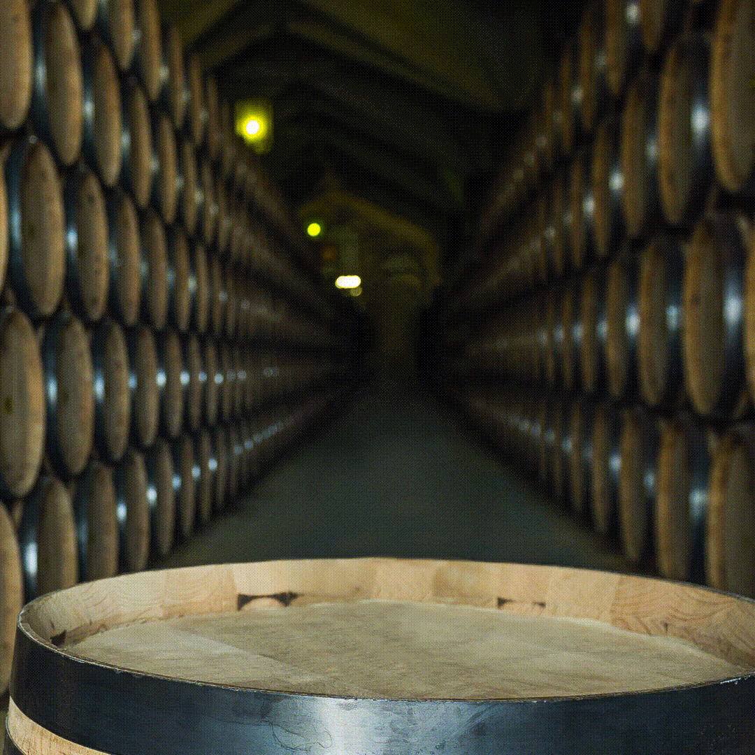 The Rare Barrel GIFs Get the best GIF on GIPHY