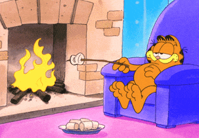 Fire Toast GIF by Garfield