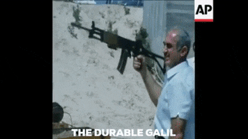 The Galil GIF