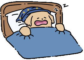 Sleep Zzz Sticker