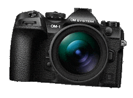 Photography Camera Sticker by OM SYSTEM