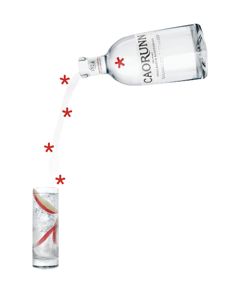 Gin And Tonic Sticker by Caorunn Gin for iOS & Android GIPHY