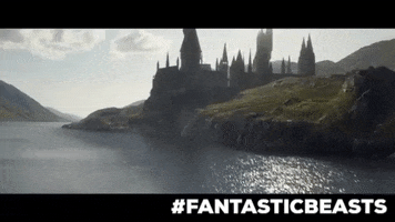 harry potter the crimes of grindelwald GIF by Cineworld Cinemas