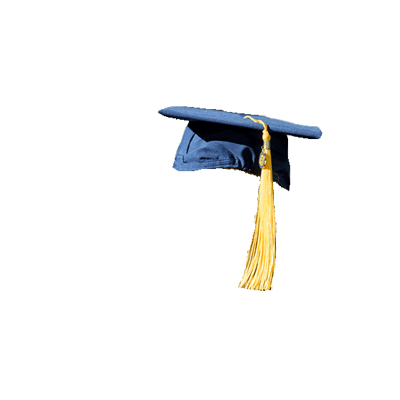 Cap Graduation Sticker by Western Governors University for iOS & Android |  GIPHY