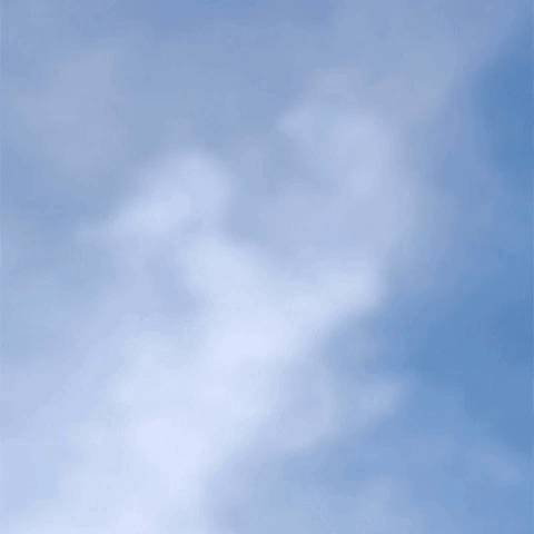 Chickenfries GIF by Burger King Singapore