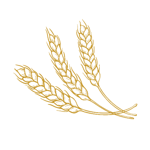 Korn Ernte Sticker by baeckerei.overmeyer