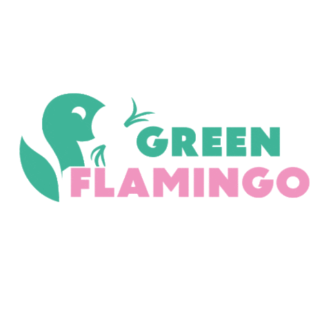 green-flamingo-innsbruck Sticker
