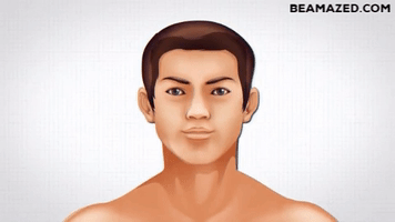 Chinese Medicine Eyebrows GIF