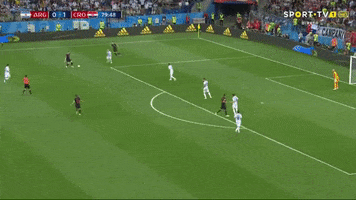 world cup argentina GIF by nss sports