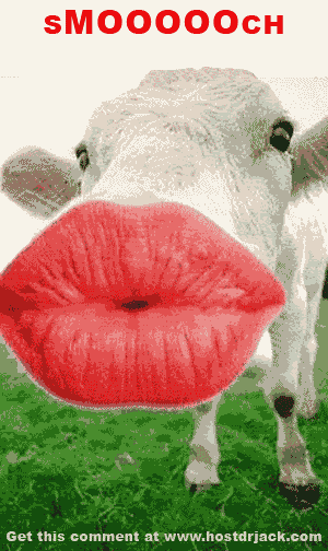 Sloppy Kiss Gifs Get The Best Gif On Giphy