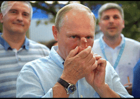 arnolteran  GIF