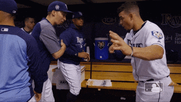 handshake snell GIF by MLB