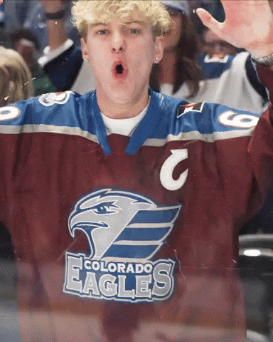 Colorado Avalanche Hockey GIF by Colorado Eagles