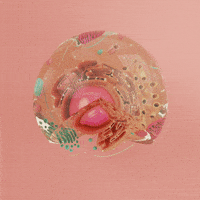 Cell GIFs - Get the best GIF on GIPHY Cell GIFs - Get the best GIF on GIPHY