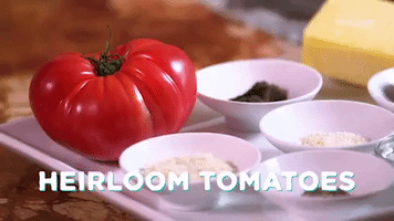 heirloom tomatoes tomato GIF by MOST EXPENSIVEST
